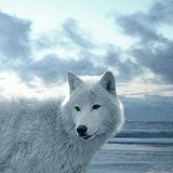 Валерия Ушнурцева, 04.11.1989