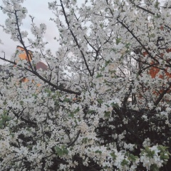 Елена Моргунова, 28.12.1981, Люберцы