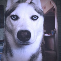 Павел Кохонов, 08.07, Санкт-Петербург