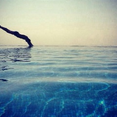 Евгений Котов, 05.05.1987, Москва