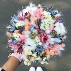 Катерина Кэт, 12.03, Витебск