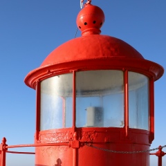 Элька Blueberry, 29.09