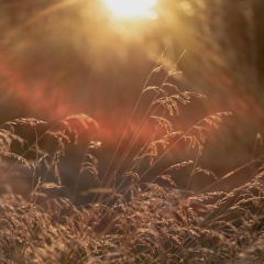 Елена Хлыстова, 13.02