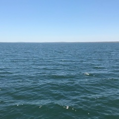 Данияр Данияров