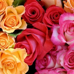 Татьяна Мухина, 10.11, Набережные Челны