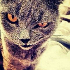 Бахтияр Алибеков, 17.01.1992, Астана