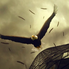 Акмал Кодиров, 20.05, Санкт-Петербург