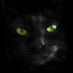 Константин Кот, 10.04