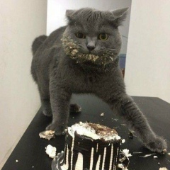 Макс Богатый, Баштанка