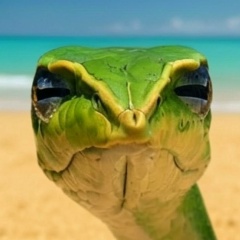 Роман Юропов, Москва