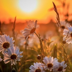 Анастасия Горшенкова, Челябинск