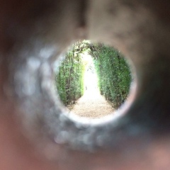 Константин Макаров, Москва