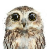 Леда , Иваново