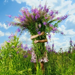 Зоя Сон, 11.08.1990