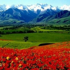 Кымбат Жакыпова, 17.03, Shanghai