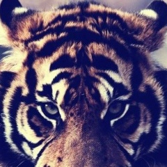 Асад Асадуллаев, 25.02.1998, Грозный