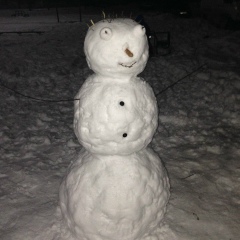 Юляша Евгиенко, 01.08