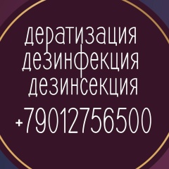 Евгений Р, Ярославль