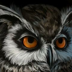 Arabiy Ismailov, 14.01, Грозный