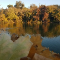 Денис Лапшин, 03.11.1988, Ростов-на-Дону