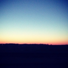 Rafael Avetisyan, 13.02