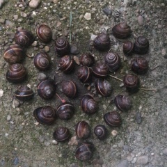 Анна Ледяева, 30.05.1978, Санкт-Петербург