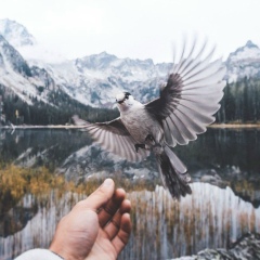 Елизавета Тихомирова, 13.05.1996, Ярославль