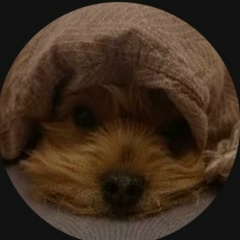 Джон Смит, 18.12, Москва