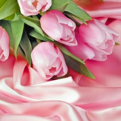 Наташа Степанова, 14.03, Южноукраинск