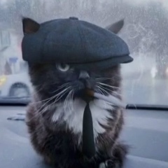 Давид Власов, Новосибирск