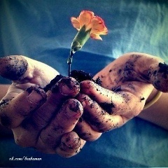 Досжан Жалимбетов, Кызылорда