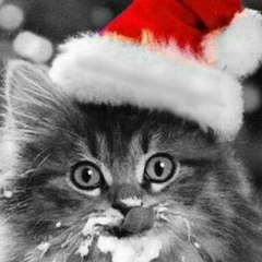 Александр Ткачук, 07.07.1985