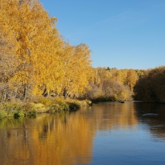 Татьяна Варганова, 25.02.1988