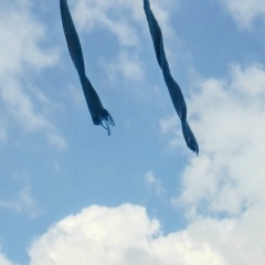 Сергей Объезжев, 26.02.1980, Санкт-Петербург