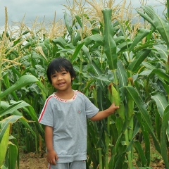 Myo-Min Htut, 01.09.1977, Pakokku