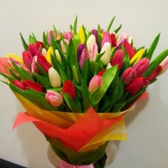 Kuntorgin Abildina, 01.04, Астана