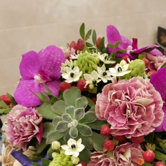 Динара Мусабалина, 12.03, Астана