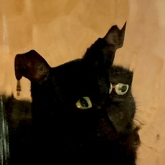 Полина Разумная, 27.10