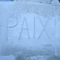 Анна Панина, 14.02, Липецк