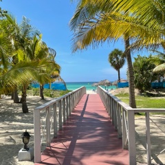 Aram Valesyan, 08.02.1983, Москва