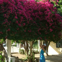 Любовь Мазур, 15.04.1985, Санкт-Петербург