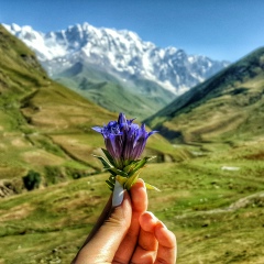 Анастасия Авалиани, 16.11.1991, Москва