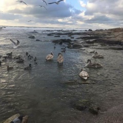 Сағынтай Усимбеков, 24.12, Актау