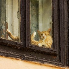 Роман Пальчиков, 08.07