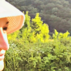 Елена Боринцева, 14.12, Санкт-Петербург