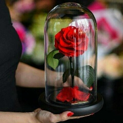 Айгуль А, 01.01, Тараз