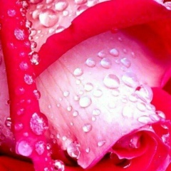 Айнур Исаева, 21.05.1986, Тараз