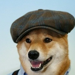 Тимур Гулиев, Баку