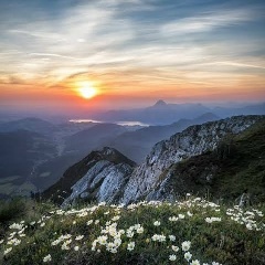 Александр Рязанцев