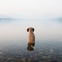 Сергей Демчук, 17.02.1991, Бельцы